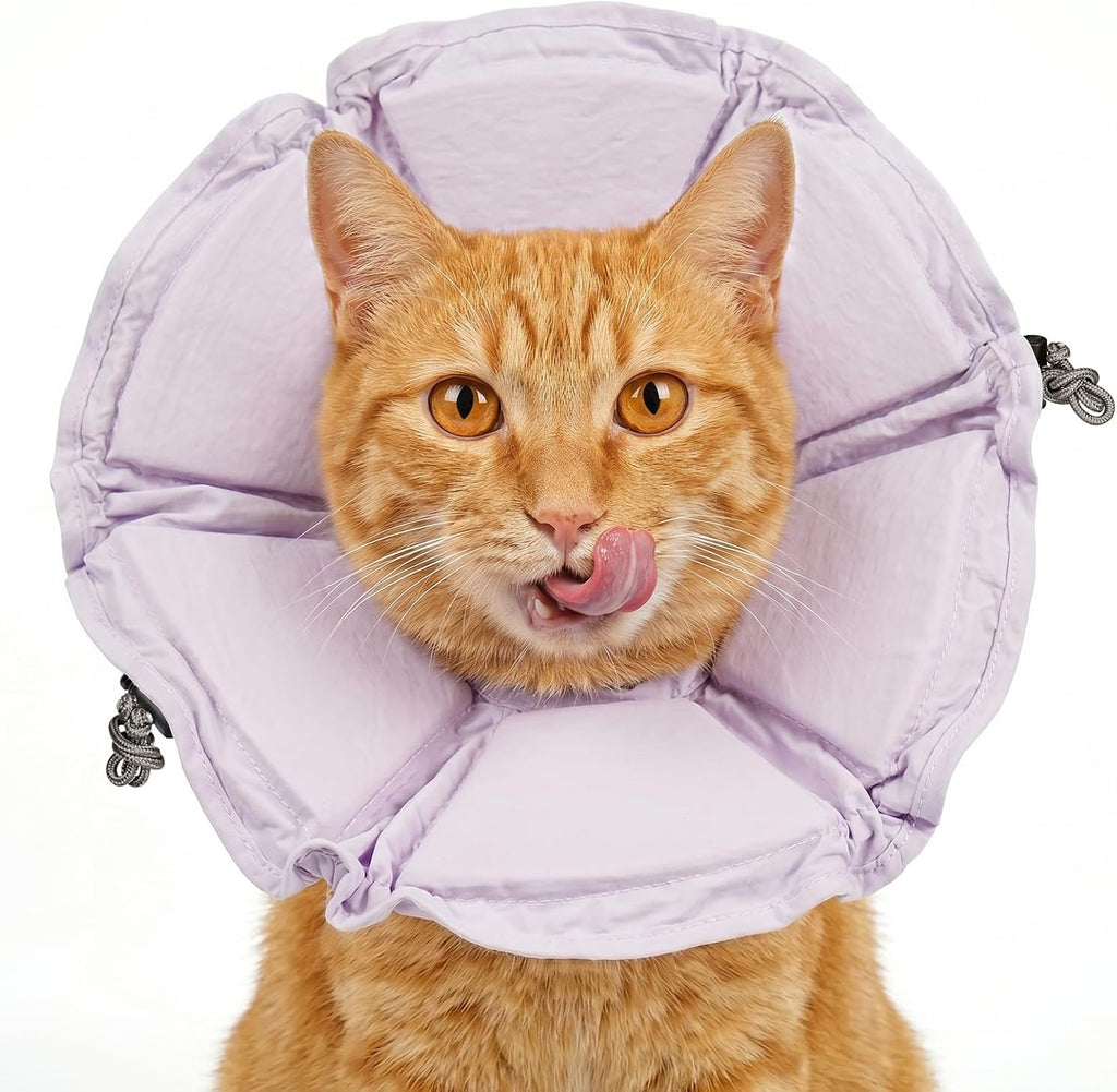 Cat Cone Collar Soft, Adjustable Elizabethan Collar for Cats to Stop Licking, Comfortable Lightweight Kitten Cone for Wound Healing and Surgery Recovery,S - Image 13