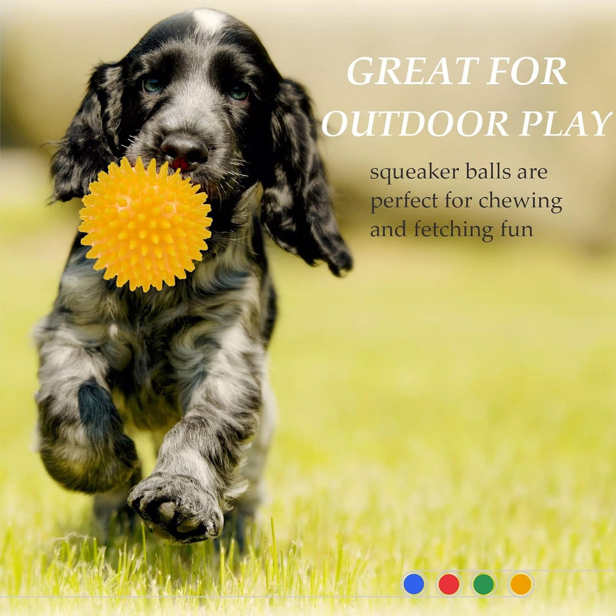 Comparison of Ousiya squeaky ball size for large dogs