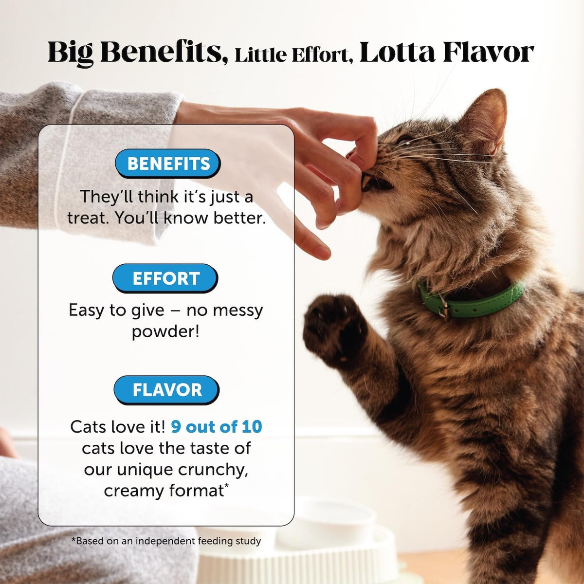 Cat enjoying Pet Honesty skin and coat crunchy chews