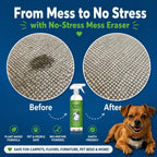 Kinderbean bio-enzyme pet odor remover spray top application on sofa cushion