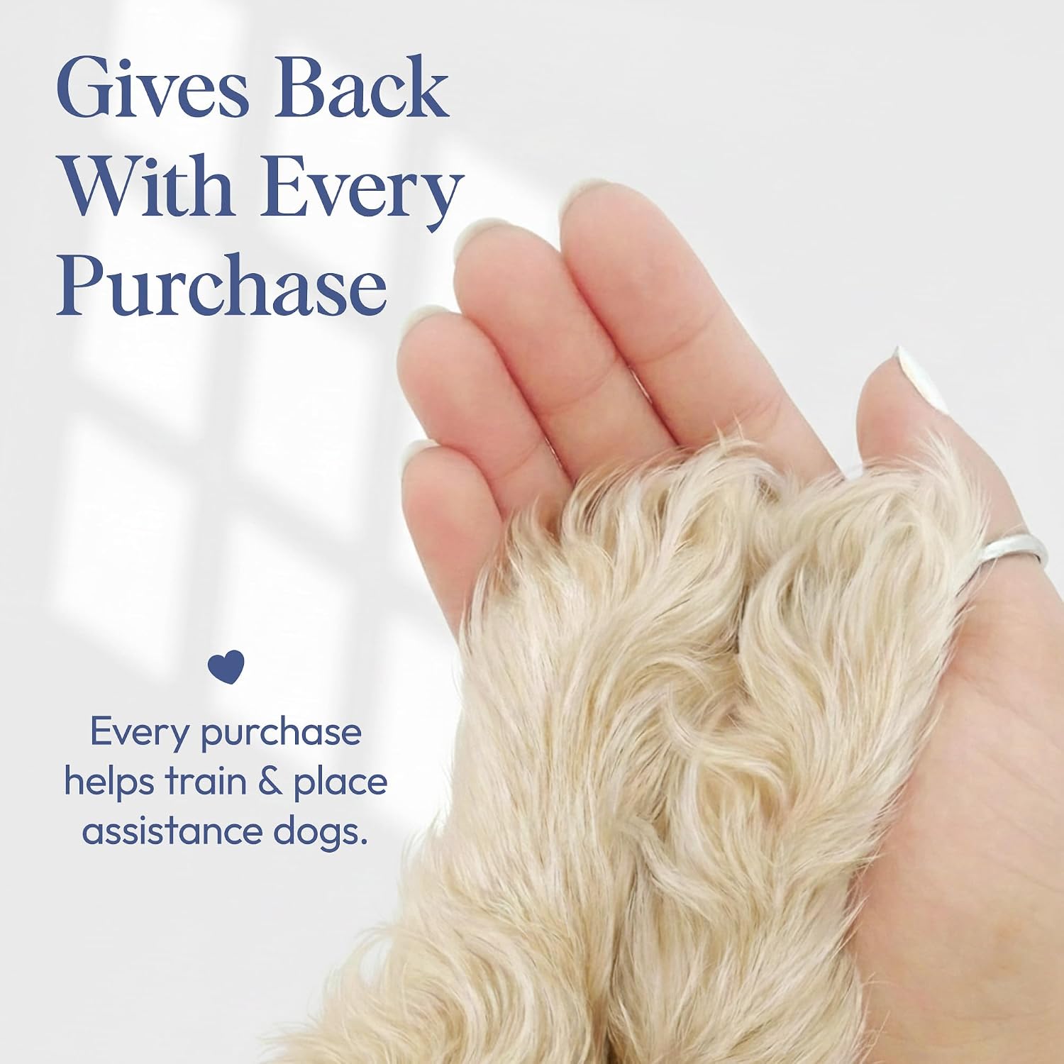 Lifestyle shot of Posie Pets long lasting dog fragrance spray