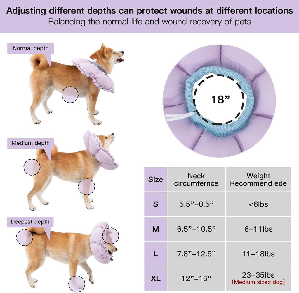 H HIDREAM adjustable dog recovery collar on a medium dog side profile