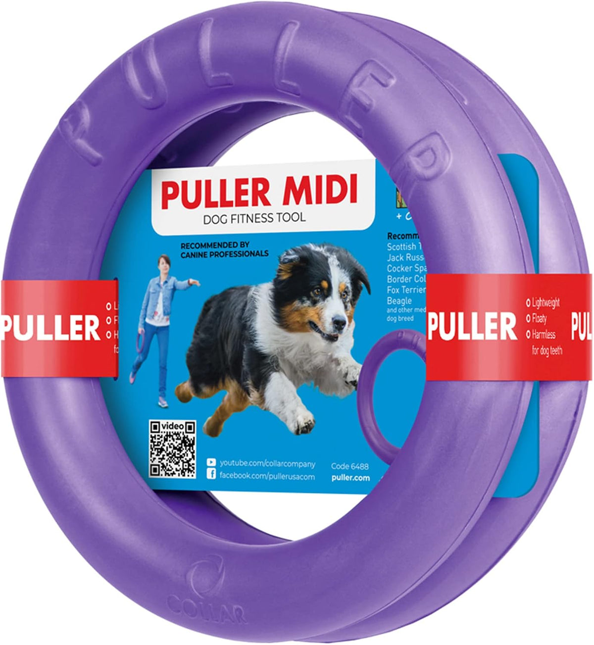 Collar brand dog exercise ring set for pet fitness
