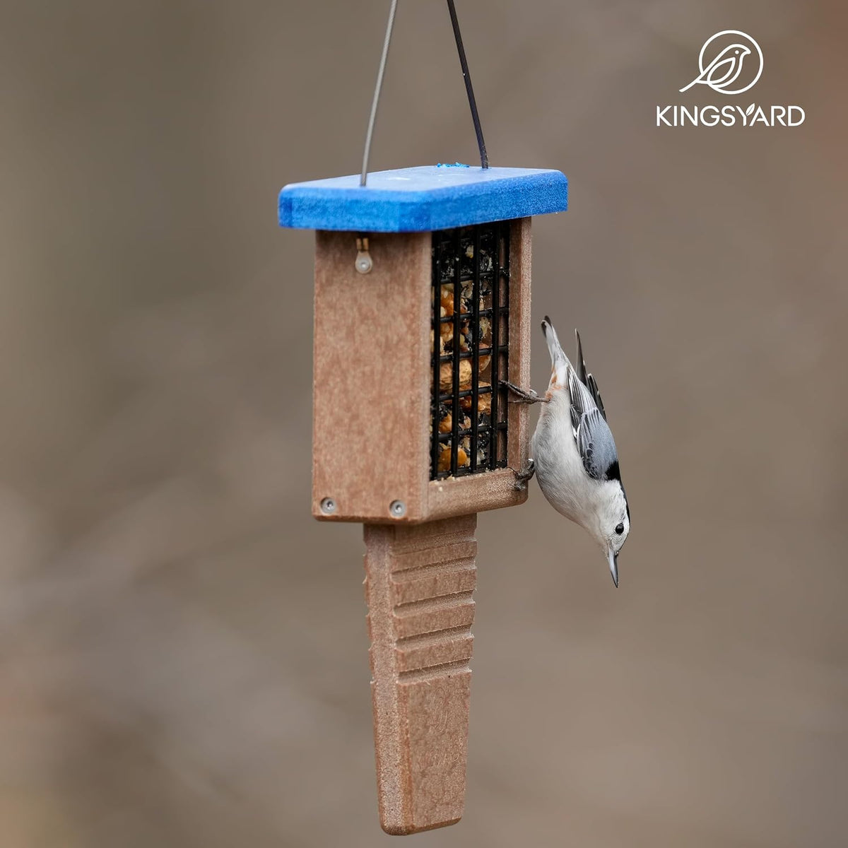 Kingsyard Suet Bird Feeder with Tail-Prop - Image 8