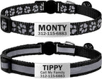 TagME silent custom pet identification collar lifestyle angle