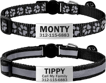 TagME silent custom pet identification collar lifestyle angle
