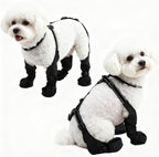 Small dog walking comfortably in BECROWM pet shoes