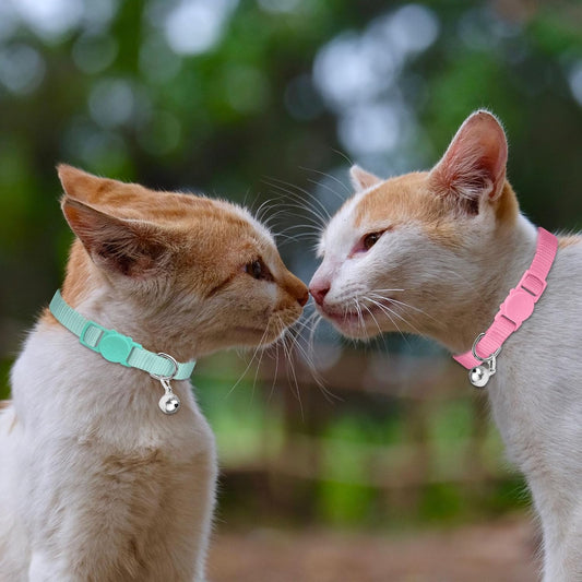 Waoduld nylon kitten collars with quick release safety buckles showing the cute cat face design