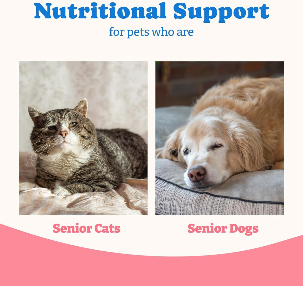 Appetite stimulant nutritional gel formula for picky eating pets