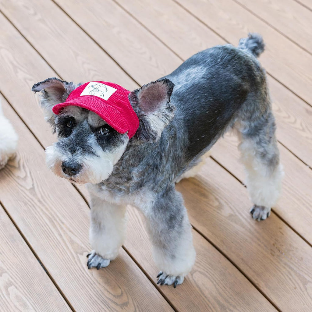 Small red Mianhuatang cat hat with ear holes