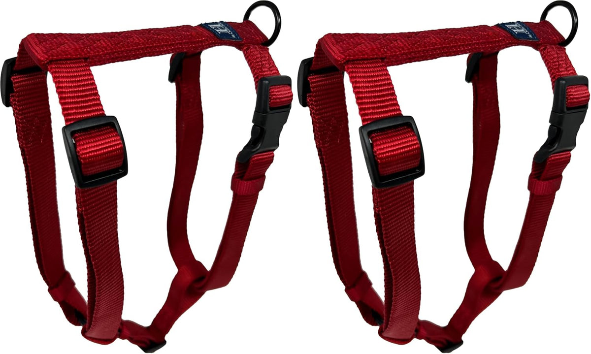 Hamilton purple dog harness lifestyle pet product view
