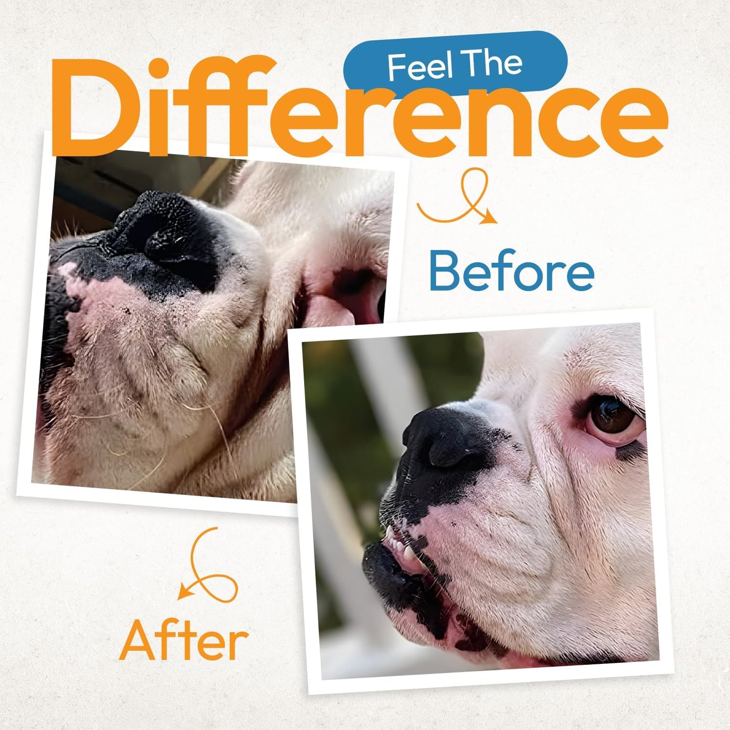 Premium imported USA pet hygiene cleaning pads on a clean background