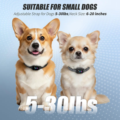 Two pack Yjwfhpu no shock bark collars for small dog training
