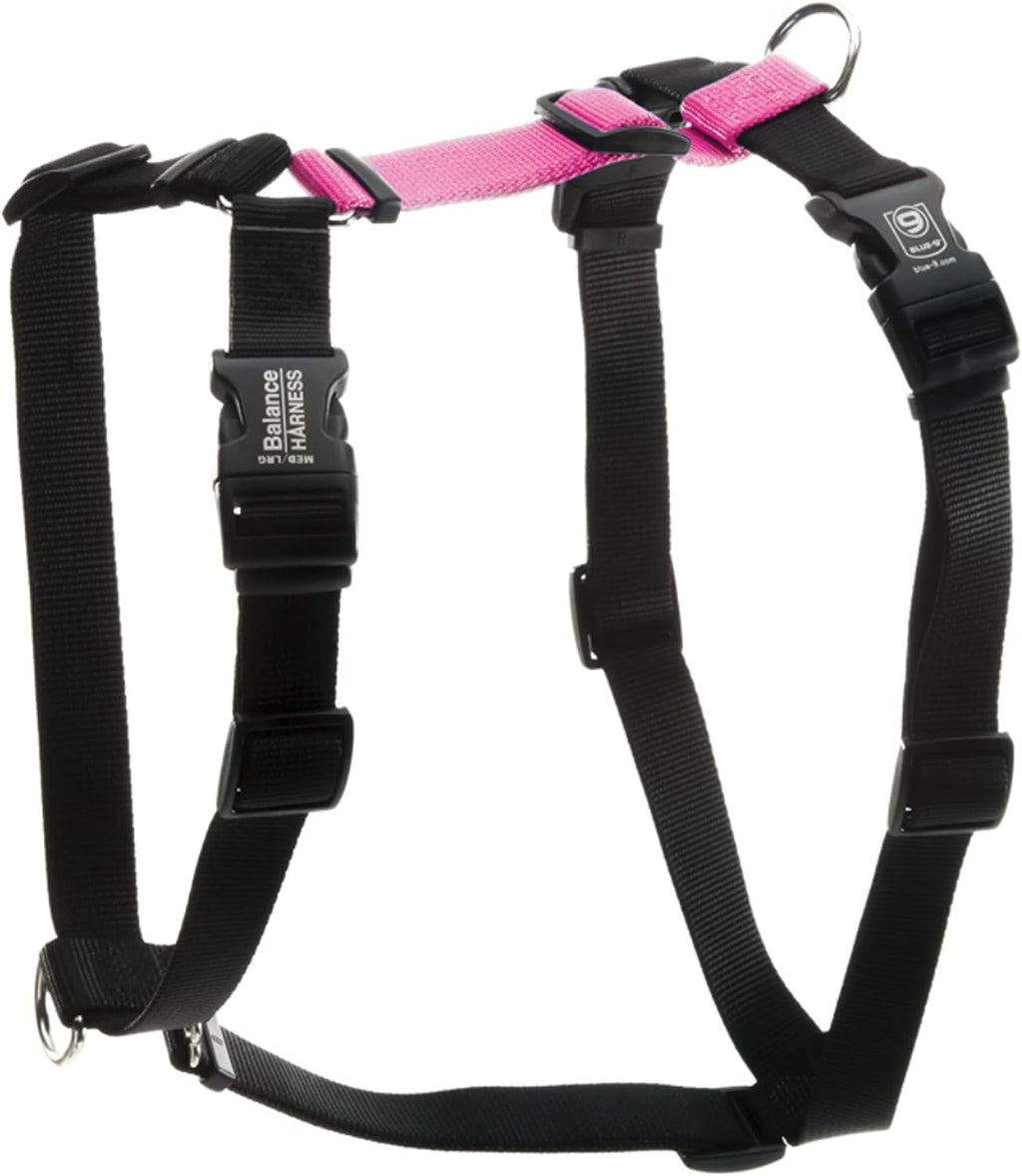 Fully customizable dog training harness flat lay