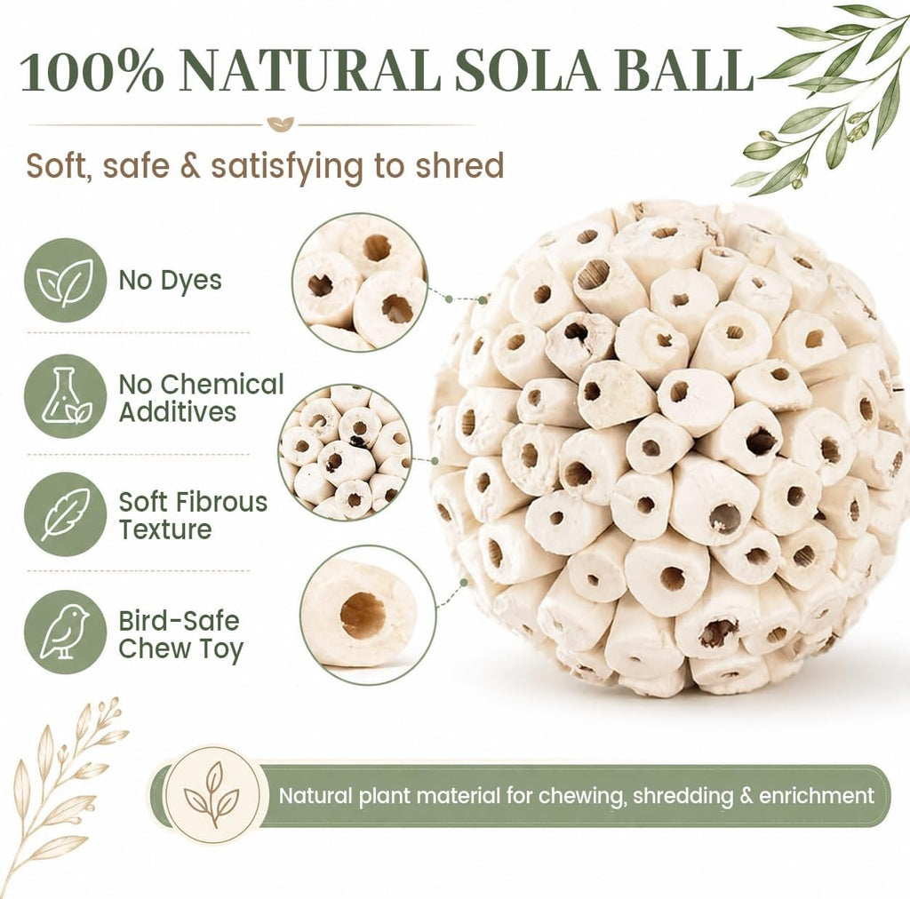 Zephyriel sola atta balls arranged for small birds