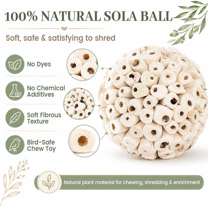Zephyriel sola atta ball bird toy demonstrating use as a foot talon toy for small bird species