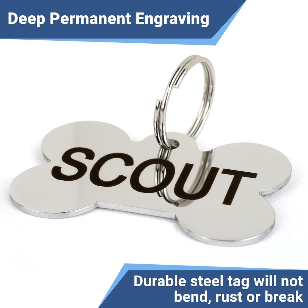 GoTags premium mirror polished stainless steel pet identification tag next to included split ring