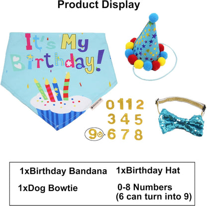ADOGGYGO medium large breed dog birthday accessory kit showing neck strap flexibility