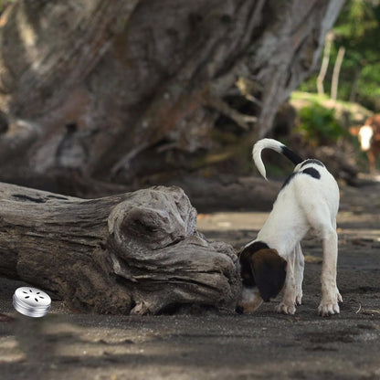Beginner dog scent training kit for home use