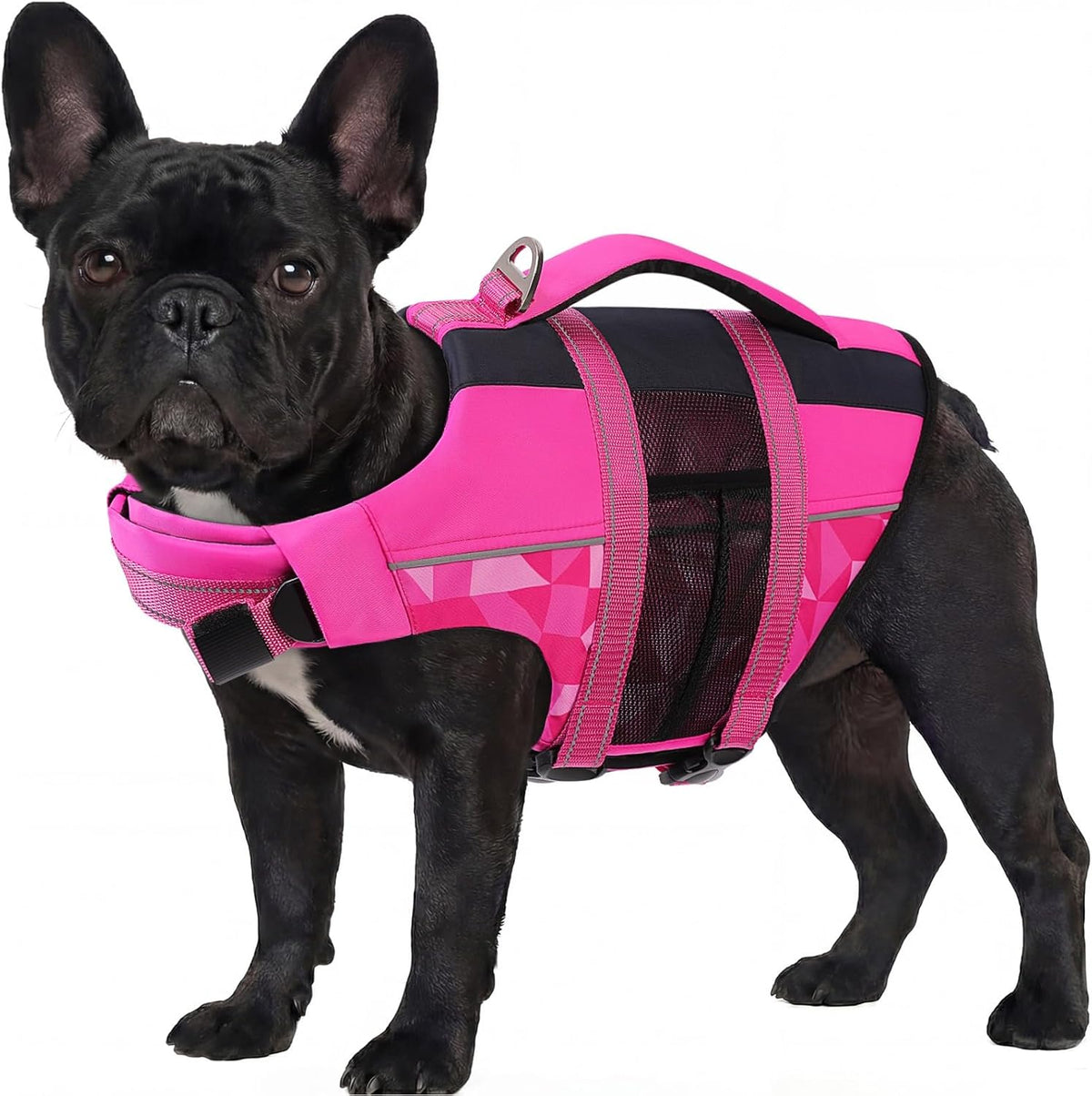 ASENKU Dog Life Jacket with Reflective Stripes, Adjustable High Flotation Dog Safety Vest, Ripstop Pet Lifesaver for Swimming Boating, Lightweight Life Preserver for Large Dogs (Blue, XL) - Image 15
