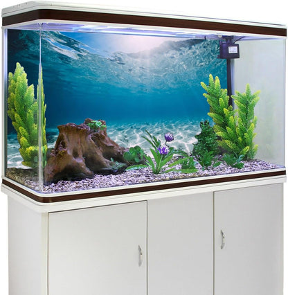 AWERT tropical aquarium background close up showing vibrant blue water and sand