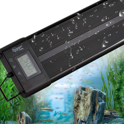 Hygger light sunset mode in a planted tank