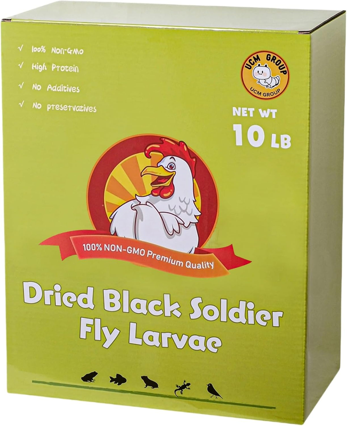 Backyard chicken feeding on natural dried grubs