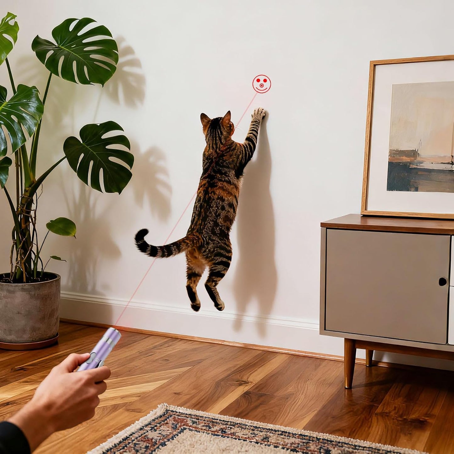 An indoor cat actively chasing the red mouse pattern projected by the OUMSIS pointer.