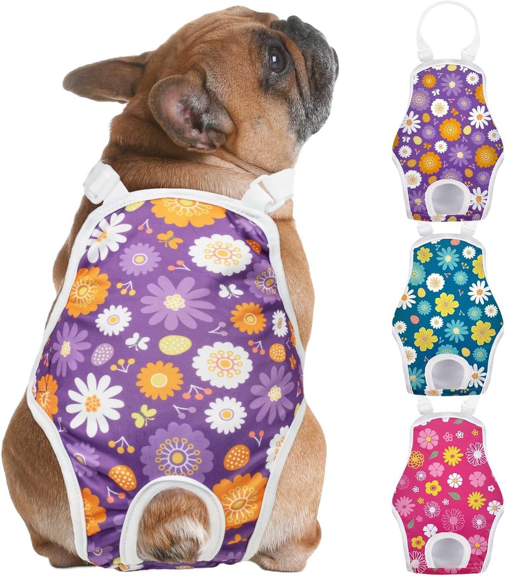 Premium imported USA dog diaper solution for pet incontinence