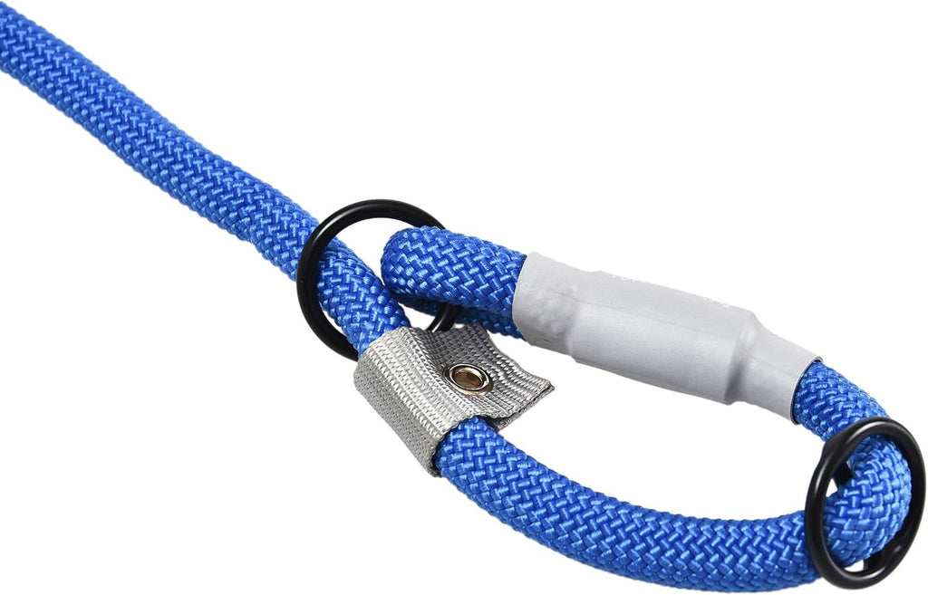 Blue 2 in 1 slip collar and heavy duty dog leash close up.