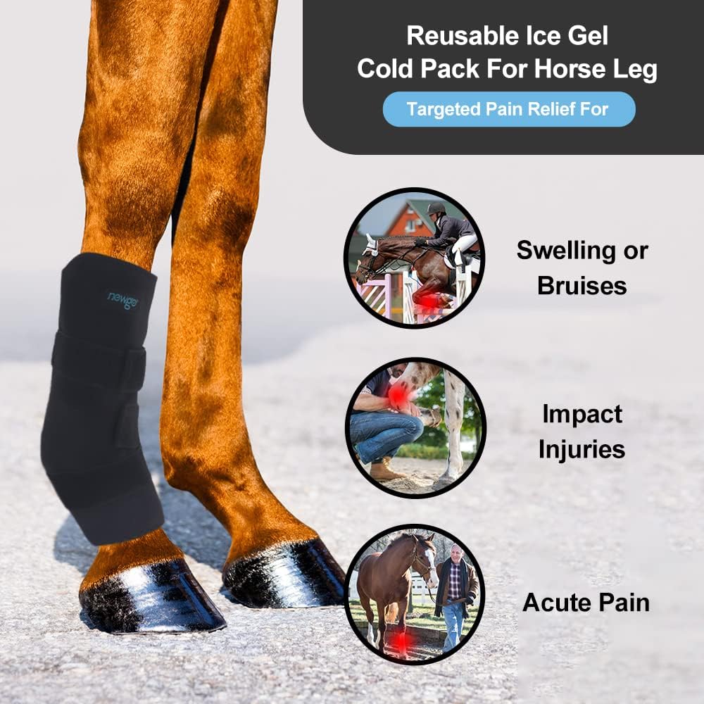 NEWGO horse knee wrap with removable gel cold packs laid flat