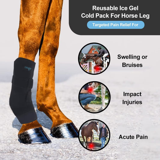 NEWGO horse knee wrap with removable gel cold packs laid flat