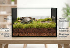 Halatool natural terrarium moss used around tropical indoor plants