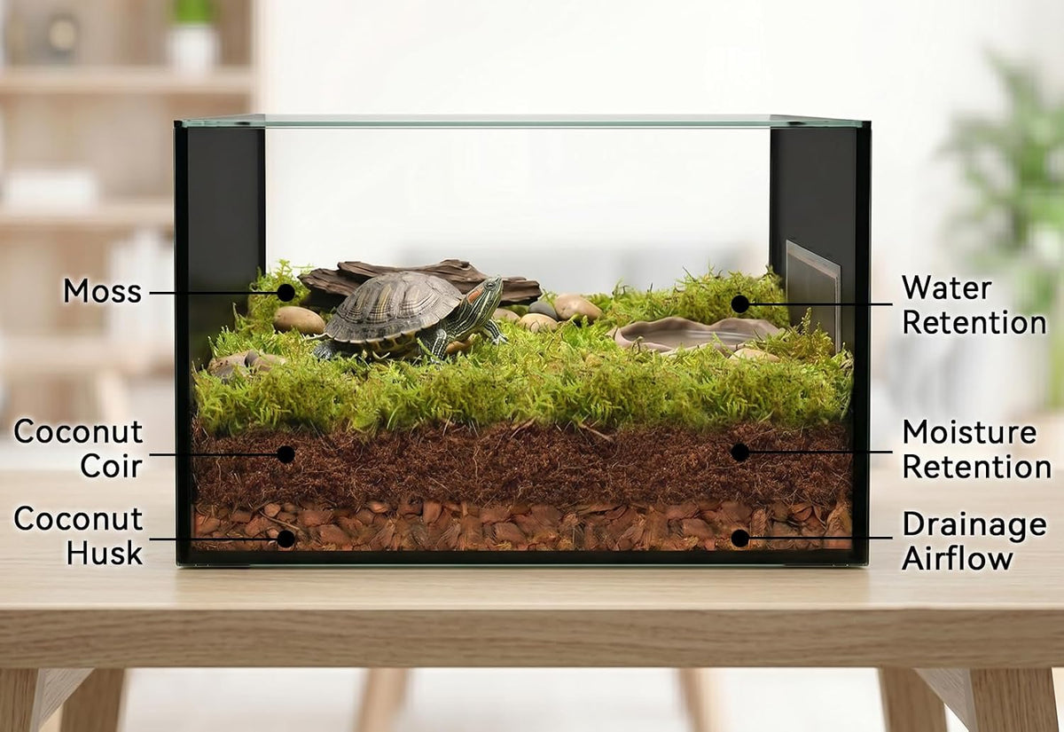 Halatool natural terrarium moss used around tropical indoor plants