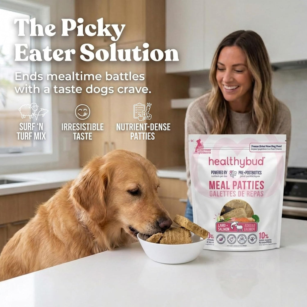 Healthybud lamb and salmon dog food nutritional information
