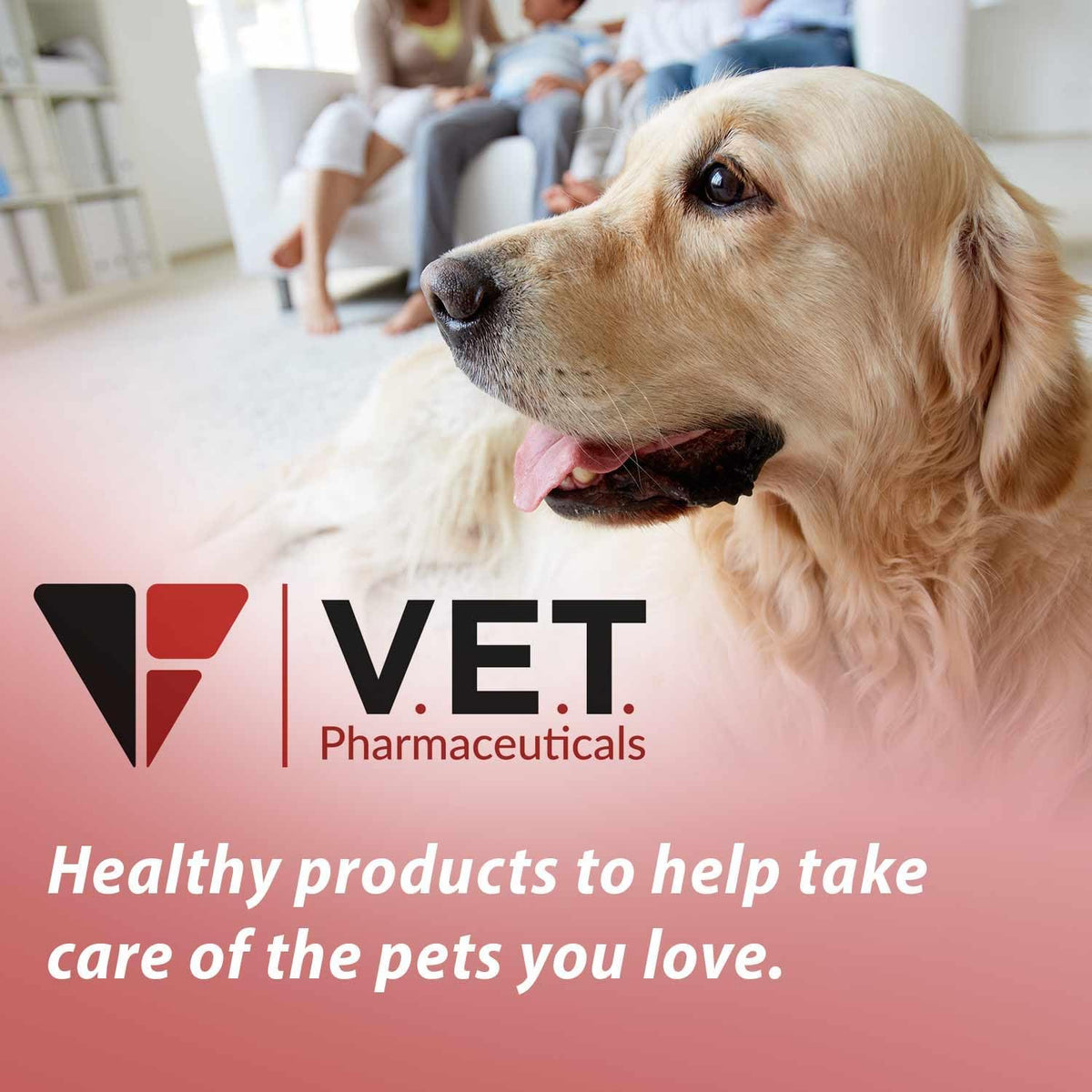 Authentic V.E.T. Pharmaceuticals DL Methionine pet bladder health supplement directions and warnings