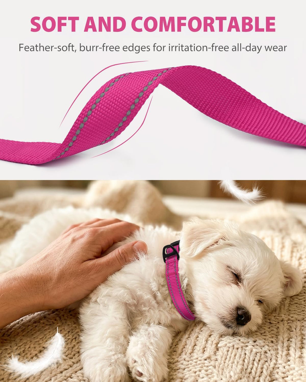 Close up of Joytale dog collar quick-release buckle