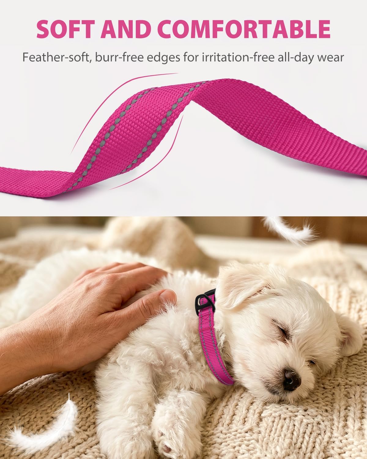Close up of Joytale dog collar quick-release buckle