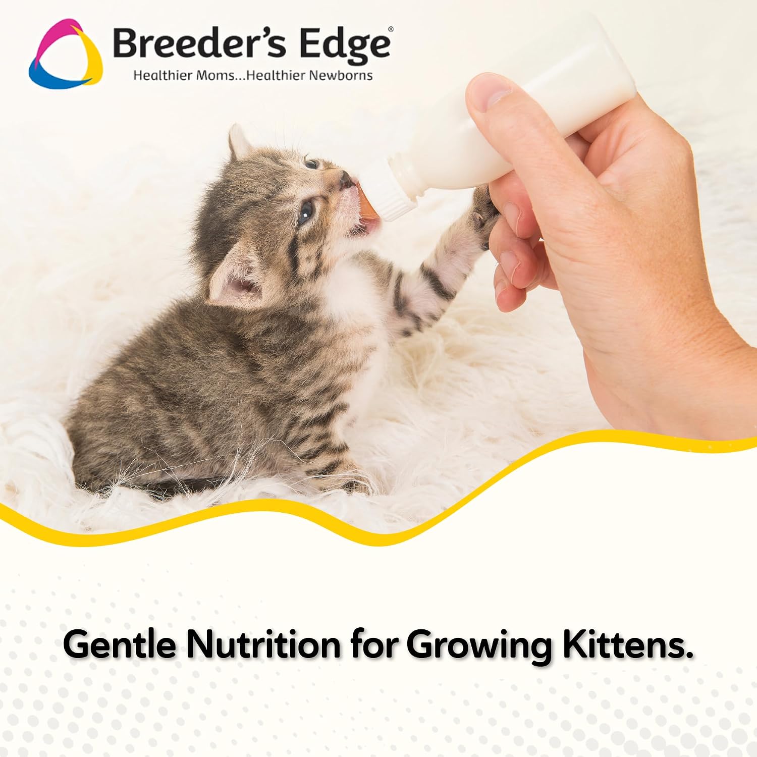 Foster Care Feline powdered milk replacer container showing 12 Ounce weight