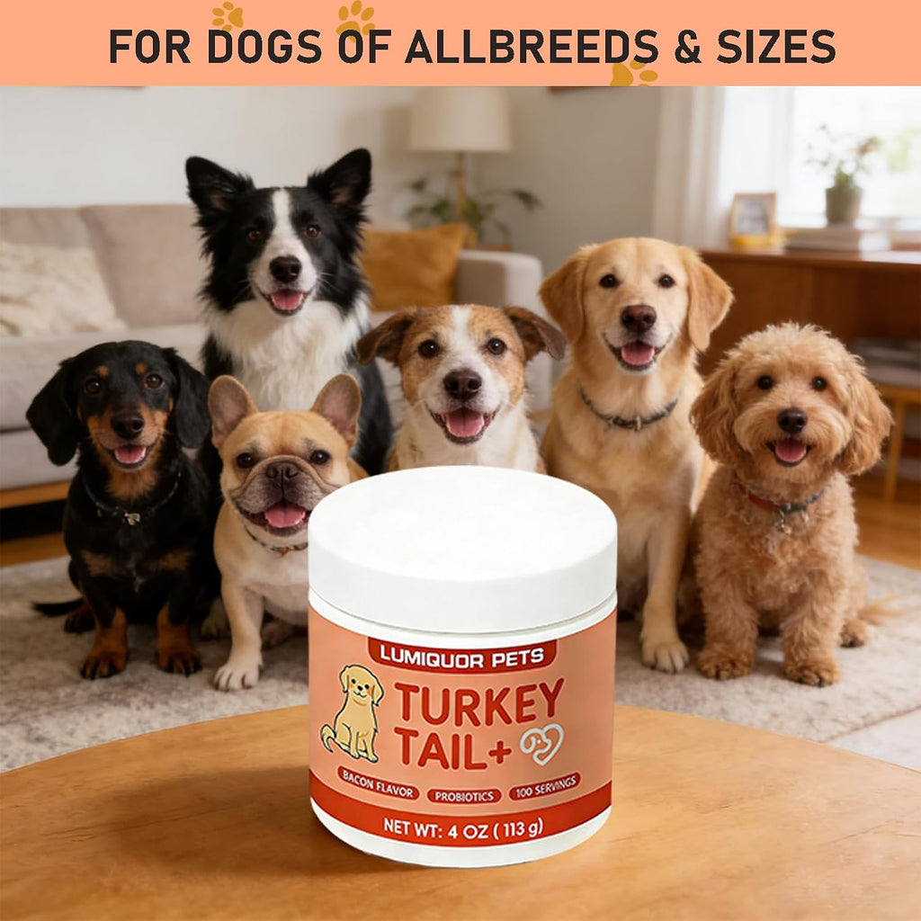 Bacon flavored turkey tail powder for dogs highlighting gut and skin benefits