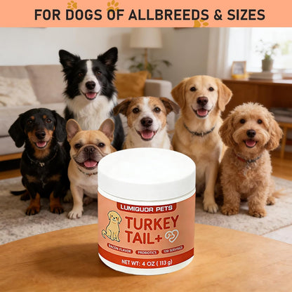 Bacon flavored turkey tail powder for dogs highlighting gut and skin benefits