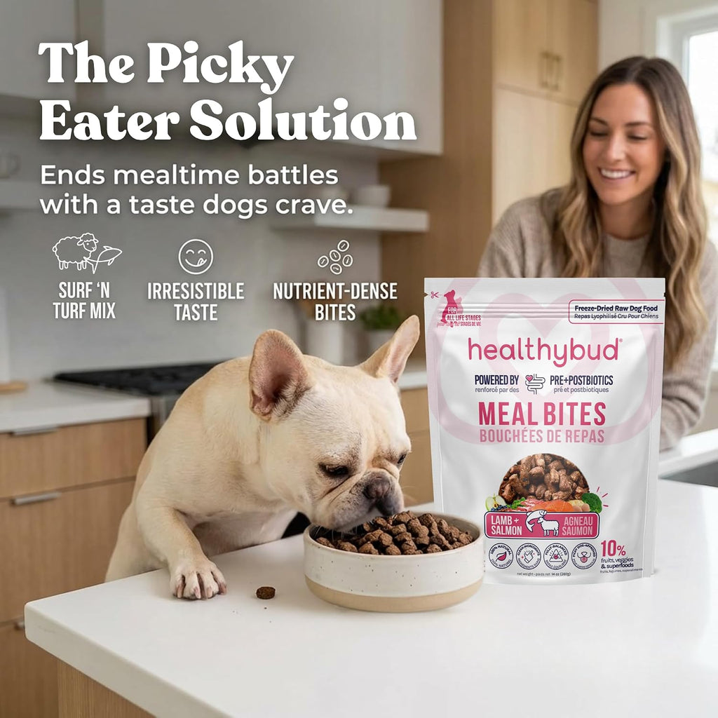 Healthybud high protein grain free dog food packaging