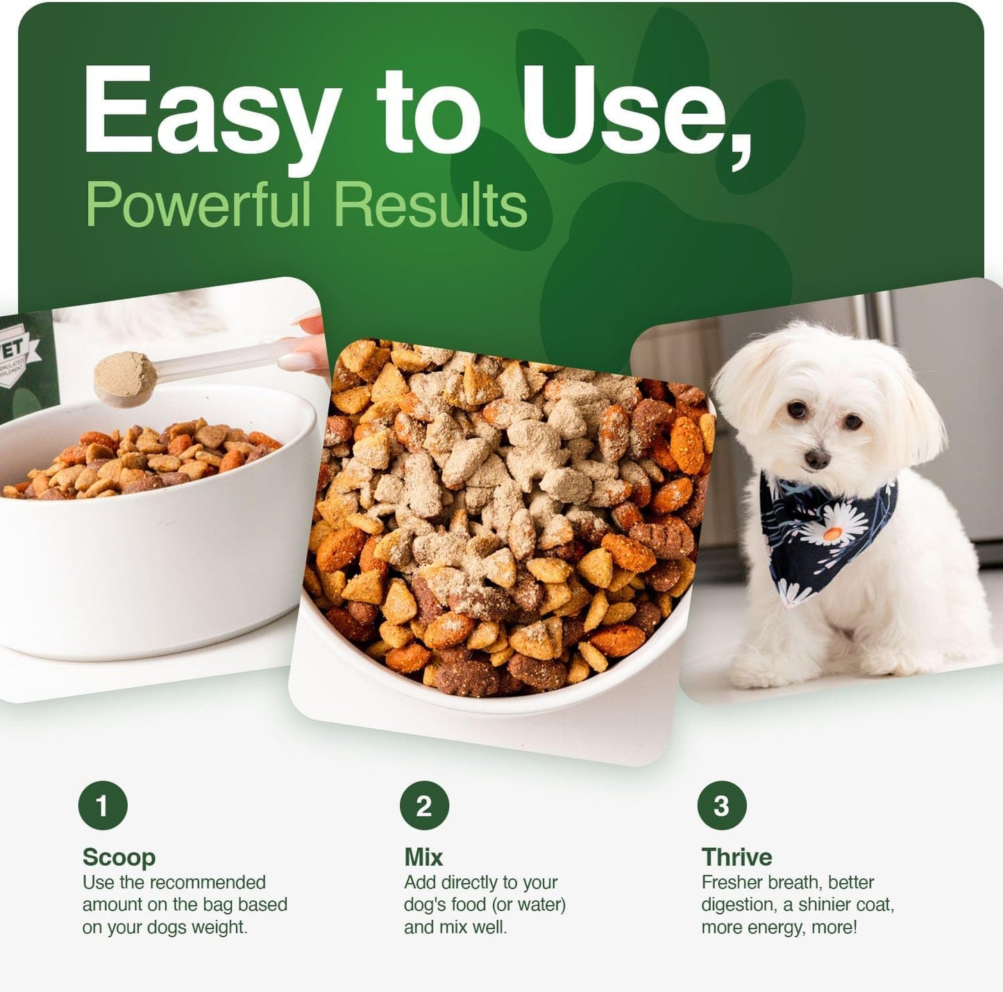 Nutrient dense dog gut health supplement with probiotics and pumpkin seed powder