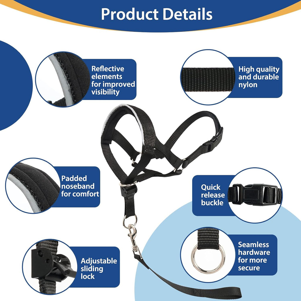 Black barkless head halter installed on a large dog