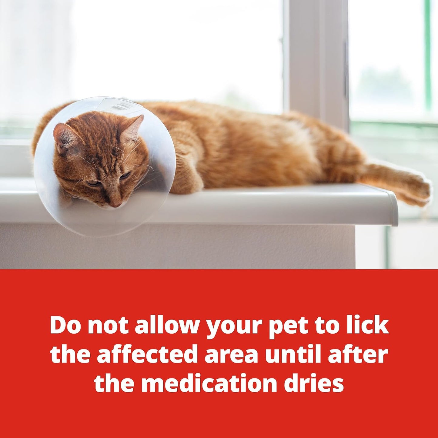 Animax medicated ointment application for pets