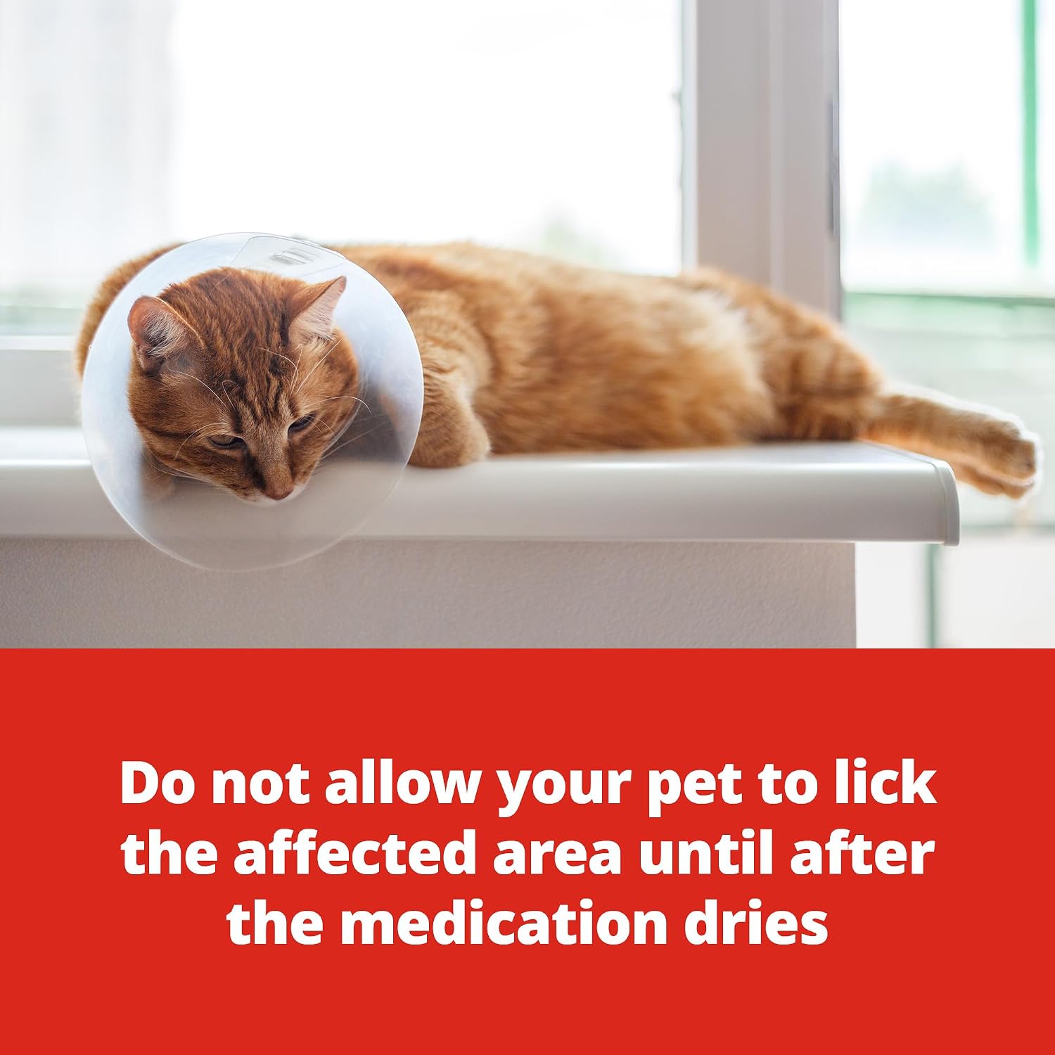 Animax medicated ointment application for pets