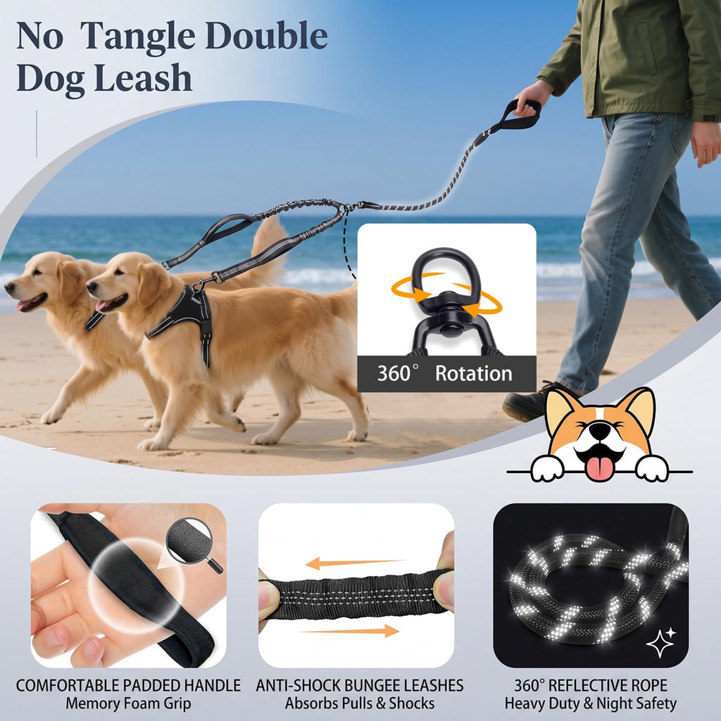 Heavy duty dual dog lead with shock absorbing bungee extension
