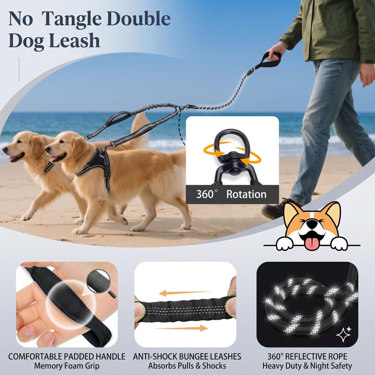 Heavy duty dual dog lead with shock absorbing bungee extension