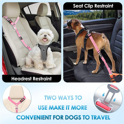 Dog wearing harness connected to Lukovee safety leash in car