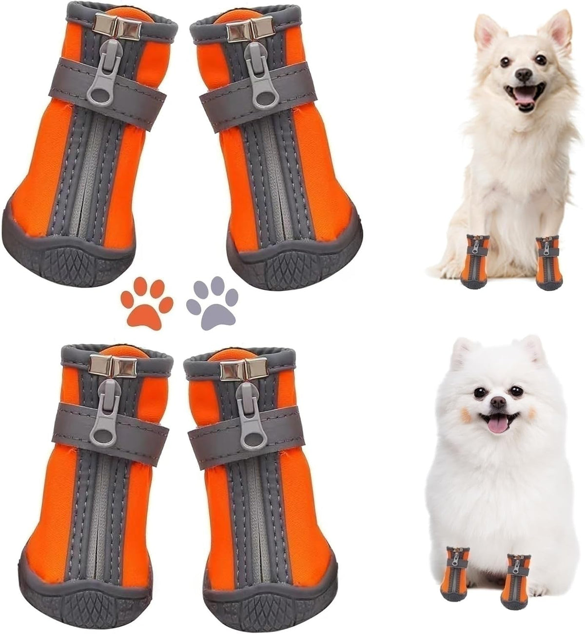 Dtyxpet winter dog boots on a small dog paw